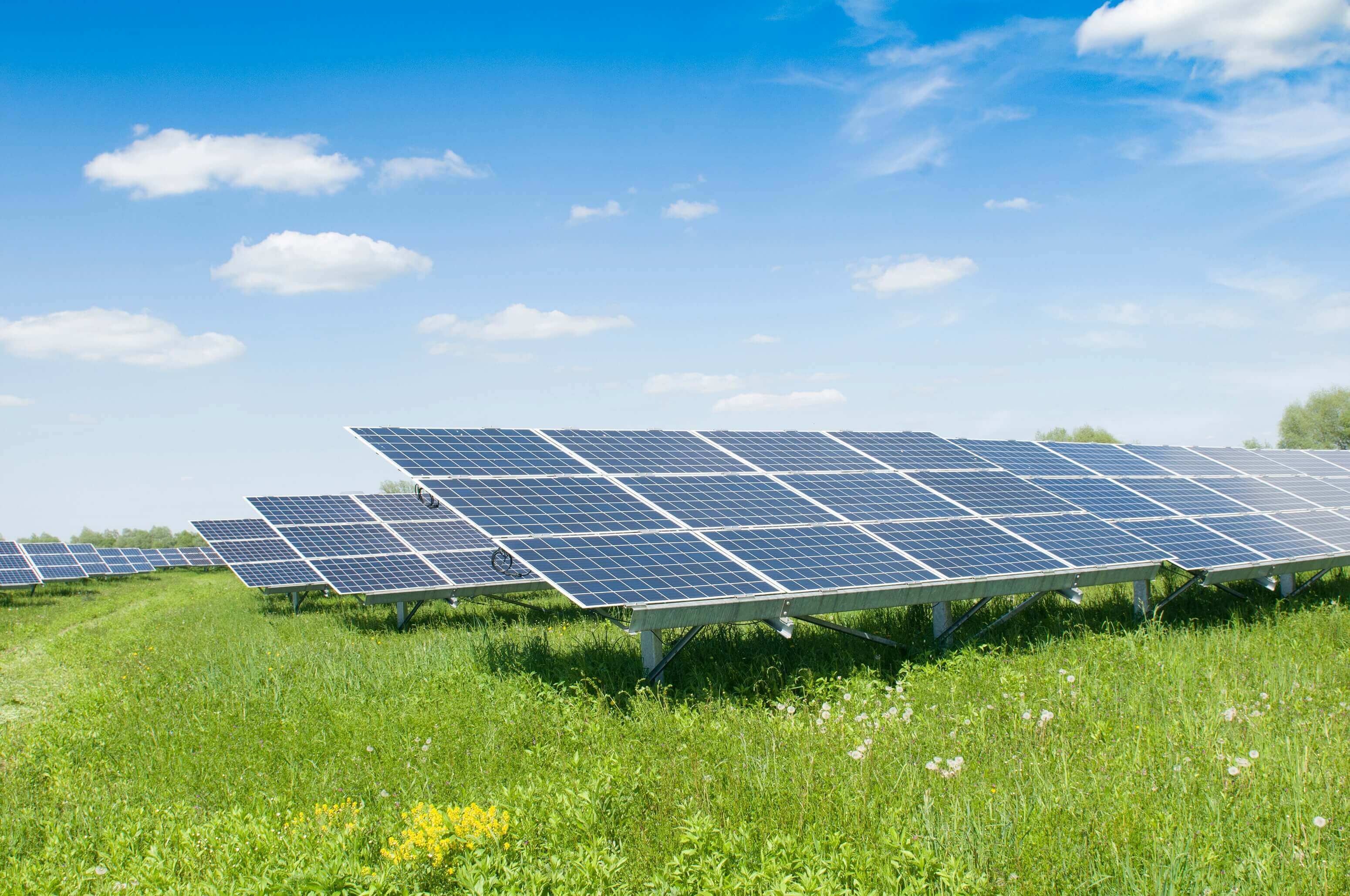 RENEWABLE ENERGY